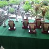 Kamionka 2015